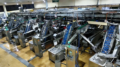 Ligne de production de sardines en conserve aux Philippines
