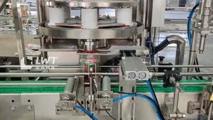 Machine de remplissage de pâte de crevettes