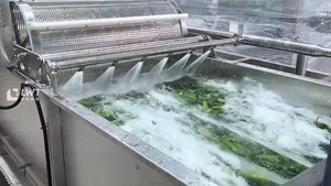 Machine à laver les légumes