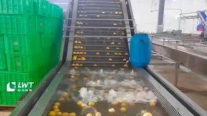 Ligne de production de pêches en conserve