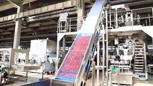 Ligne de production de poivrons en conserve