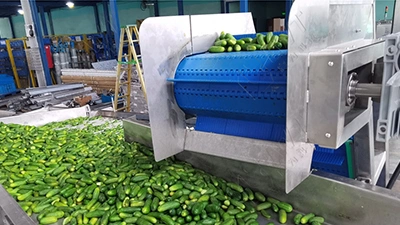 Ligne de production de concombres en conserve
