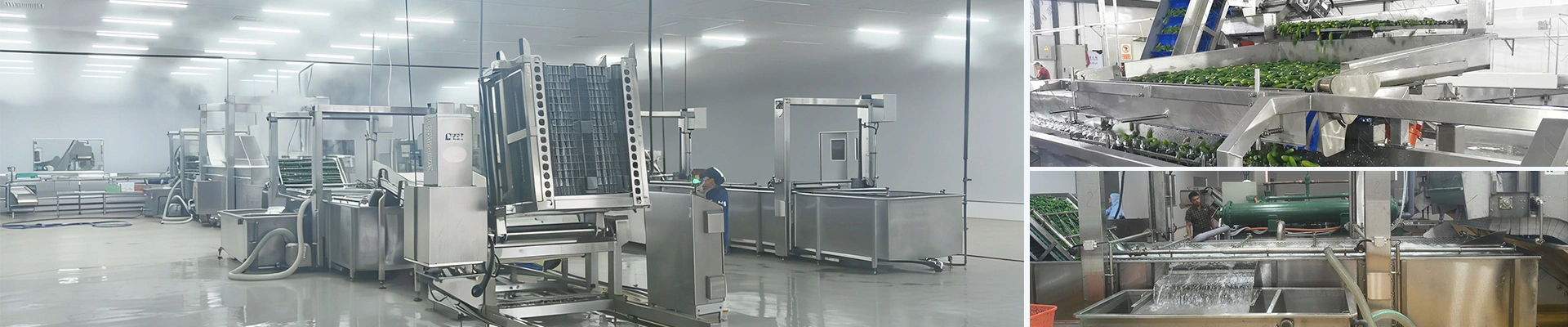 Ligne de production de concombres en conserve