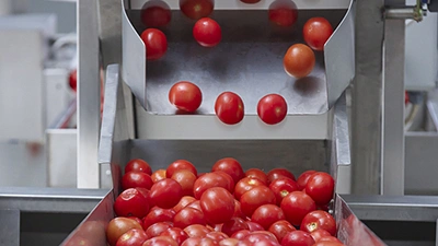 Ligne de production de ketchup en conserve