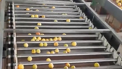 Calibreuse à rouleaux