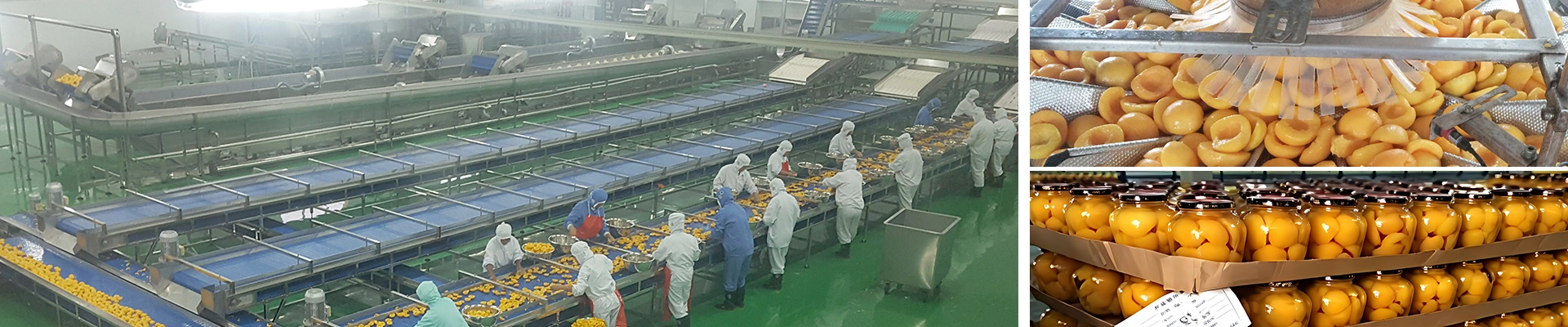 Ligne de production de pêches en conserve