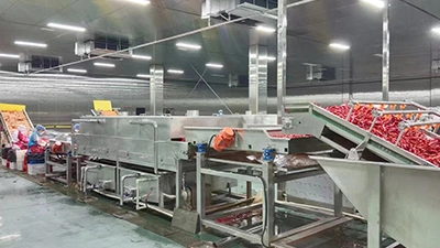 Ligne de production de poivrons marinés en conserve