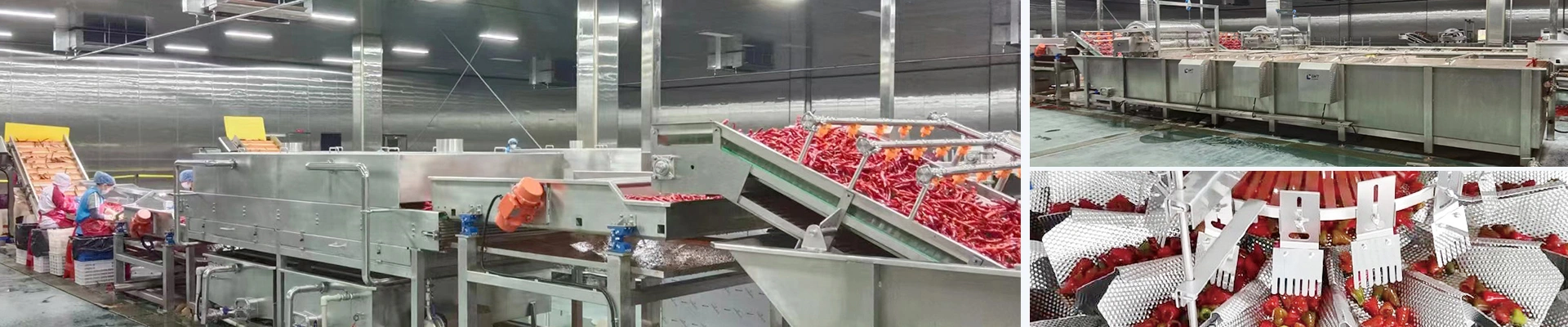 Ligne de production de poivrons marinés en conserve
