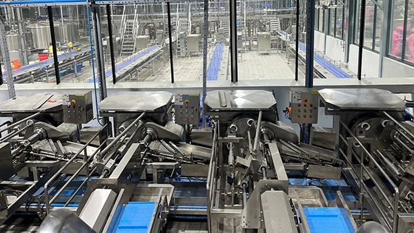 Ligne de production d'ananas en conserve