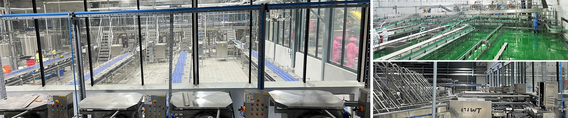 Ligne de production d'ananas en conserve