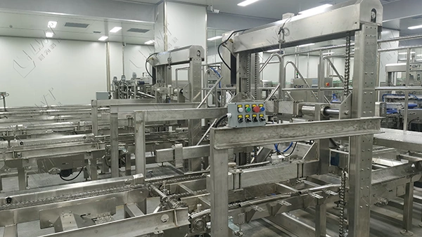 Lignes de production de pousses de bambou et de légumes d'hiver