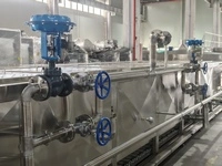 Pasteurisateur à bain-marie avec convoyeur à rouleaux