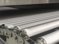 Pasteurisateur à bain-marie avec convoyeur à rouleaux