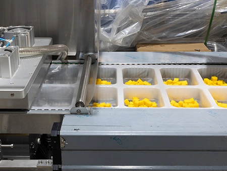 Machines de thermoformage